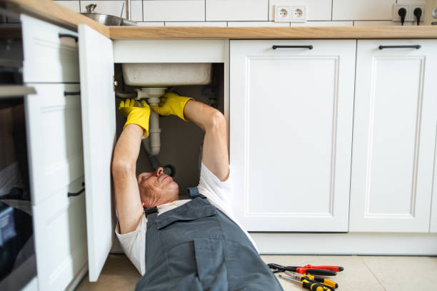 Best Local Plumber Services  in Ilion, NY
